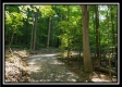 More of Big Timber Ridge at Tar Hollow