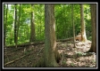 Big Timber Ridge at Tar Hollow property photo