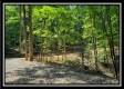 Big Timber Ridge at Tar Hollow property photo