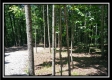 More of 1205 McCarley Road