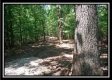 More of 1165 McCarley Road