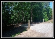 More of 1165 McCarley Road