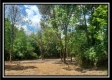 More of Tract 2 - Egypt Pike Farm