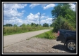 More of Tract 2 - Egypt Pike Farm