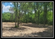More of Tract 2 - Egypt Pike Farm