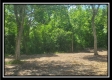Tract 2 - Egypt Pike Farm property photo