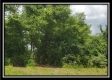 More of Tract 9 - Egypt Pike Farm