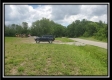 More of Tract 9 - Egypt Pike Farm