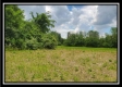 More of Tract 9 - Egypt Pike Farm