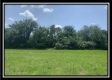 More of Tract 6 - Egypt Pike Farm