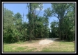 More of Tract 6 - Egypt Pike Farm