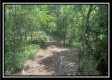 More of Egypt Pike Farm Tract 1