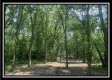 More of Egypt Pike Farm Tract 1