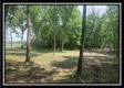 More of Egypt Pike Farm Tract 1