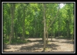 Egypt Pike Farm Tract 1 property photo