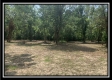 More of Egypt Pike Farm Tract 3