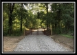 More of Tract 1 - The Woods at Mans Fork Creek