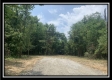 More of Tract 4 - Egypt Pike Farm