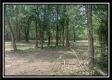 More of Tract 4 - Egypt Pike Farm