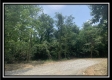 More of Tract 4 - Egypt Pike Farm