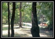 More of 1190 McCarley Road
