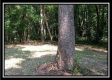 More of 1190 McCarley Road