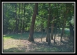 More of 1190 McCarley Road