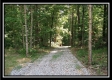 More of 3160 Alice Road