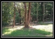 More of 3160 Alice Road