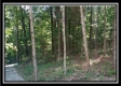 3160 Alice Road property photo