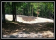 More of 3186 Alice Road
