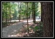 3186 Alice Road property photo