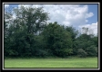 More of Tract 7 - Egypt Pike Farm
