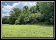 Tract 7 - Egypt Pike Farm property photo
