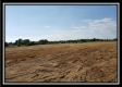 More of Tract 8 - Bennington Pastures