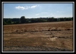 More of Tract 8 - Bennington Pastures