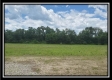 More of Tract 10 - Egypt Pike Farm
