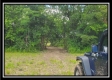 More of Tract 10 - Egypt Pike Farm