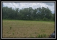 More of Tract 11 - Egypt Pike Farm