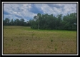 More of Tract 11 - Egypt Pike Farm
