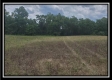 More of Tract 11 - Egypt Pike Farm