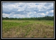 Tract 11 - Egypt Pike Farm property photo