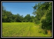 More of Egypt Pike Farm Tract 8