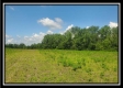 More of Egypt Pike Farm Tract 8