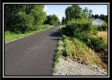 More of Tract 9 - Bennington Pastures