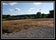 More of Tract 9 - Bennington Pastures