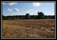 More of Tract 9 - Bennington Pastures