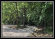More of The Woods at Mans Fork Creek Tract 4