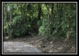 The Woods at Mans Fork Creek Tract 4 property photo
