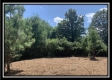 More of 66433 Old Shurtz Rd
